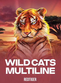 Panduan Bermain Wild Cats Multiline di Android Terlengkap